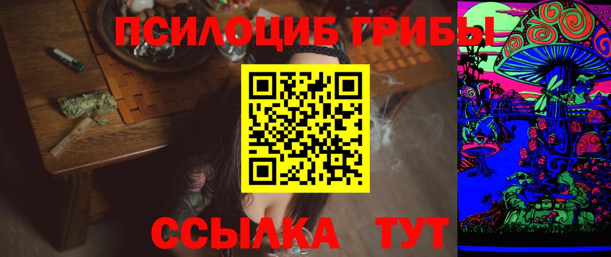 Псилоцибиновые грибы GOLDEN TEACHER Майкоп